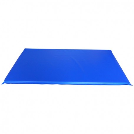 Gym PVC mattress